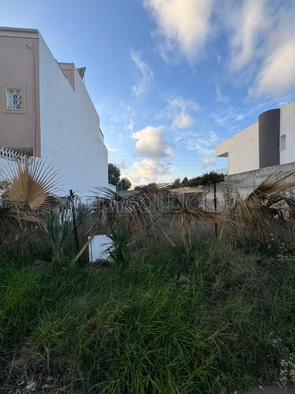 Un terrain a vendre