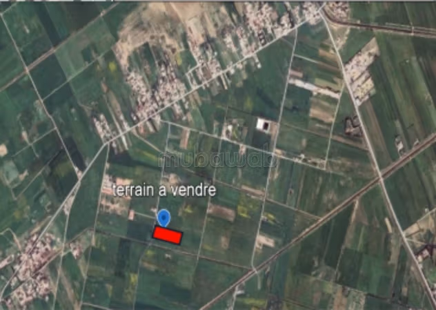 Terrain à vendre à Borj Touil