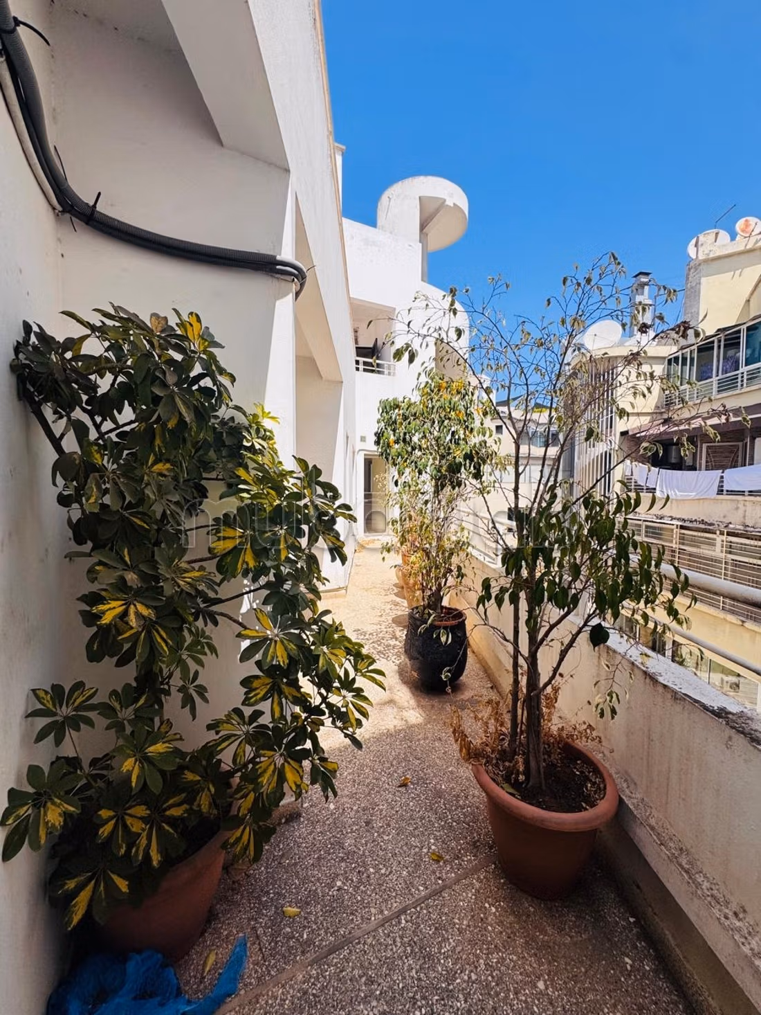 Duplex ultimo piano terrazza sud
