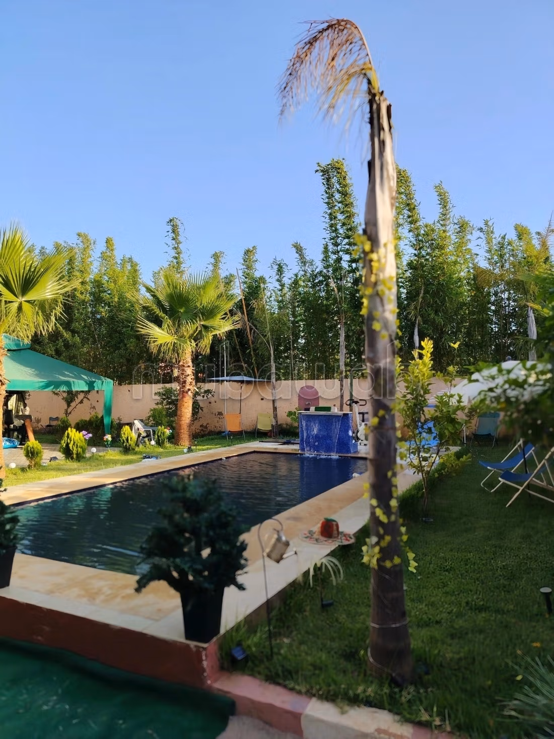 Ferme Mamma Aicha, Su oasis familiar en Kénitra