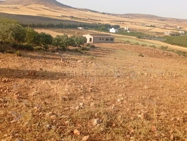 Land for sale in Sefrou. Total area 500,000 m²