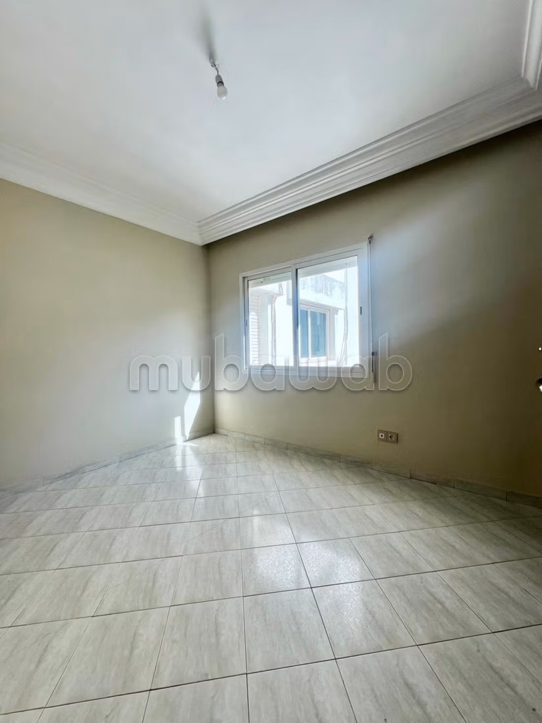 Appartement 210 m² à Racine — 14