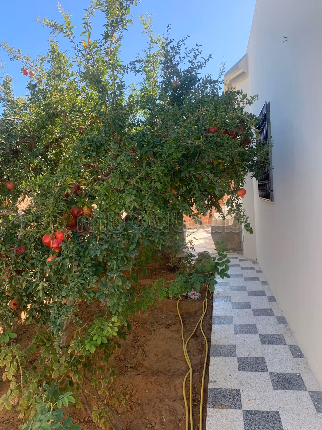 Villa à vendre confort et sérénité 
taniour sfax