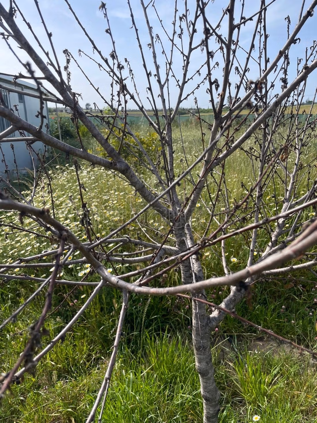 À VENDRE – Superbe fermette de 2 500 m² avec vue exceptionnelle sur le barrage