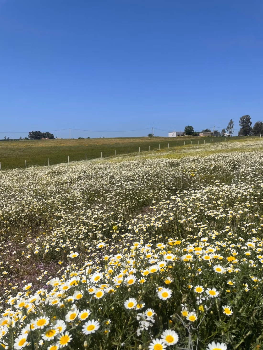 À VENDRE – Superbe fermette de 2 500 m² avec vue exceptionnelle sur le barrage
