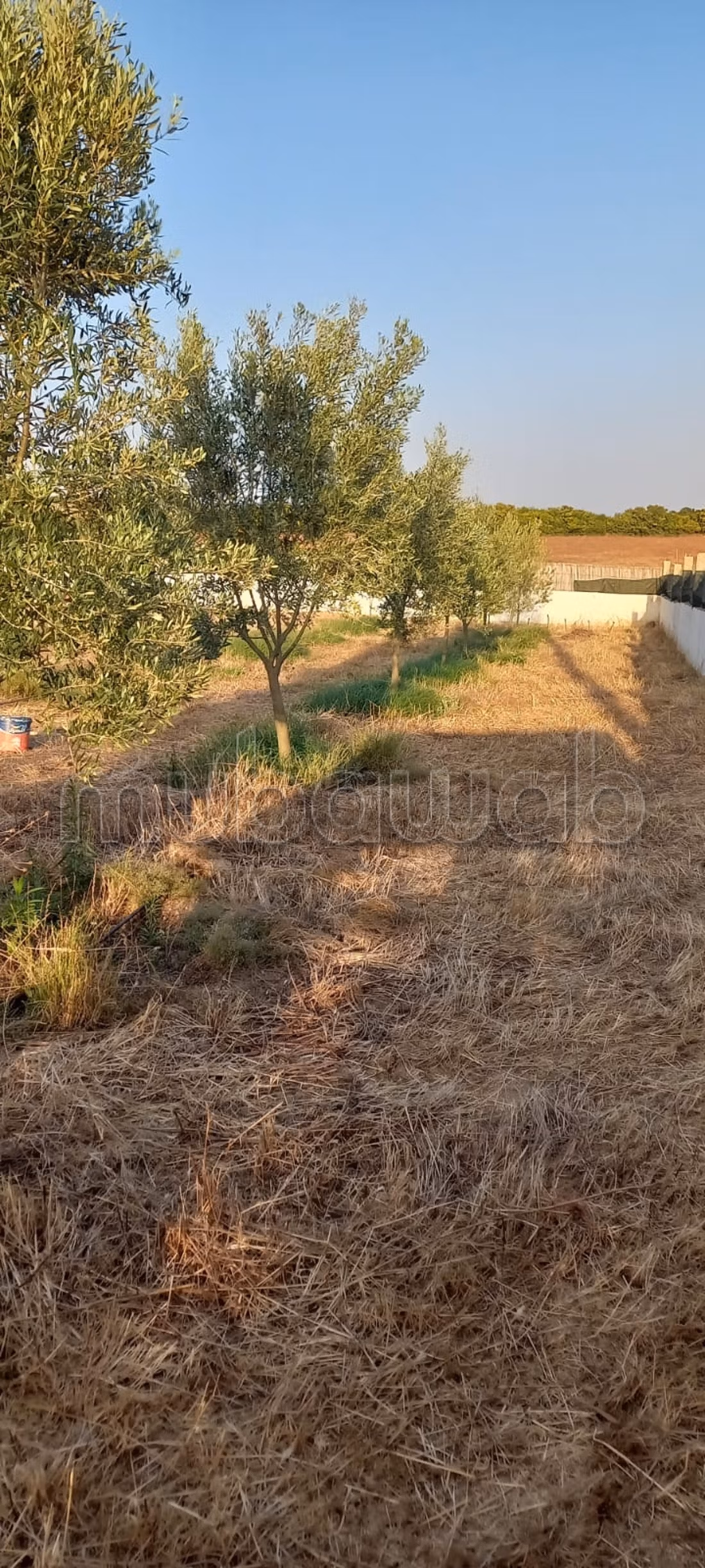 À VENDRE – Superbe fermette de 2 500 m² avec vue exceptionnelle sur le barrage