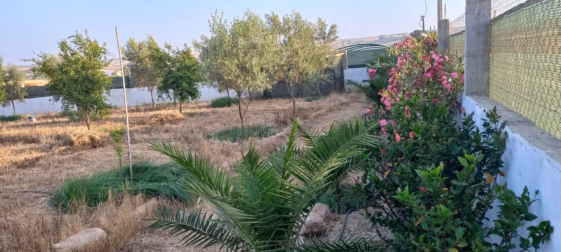 À VENDRE – Superbe fermette de 2 500 m² avec vue exceptionnelle sur le barrage