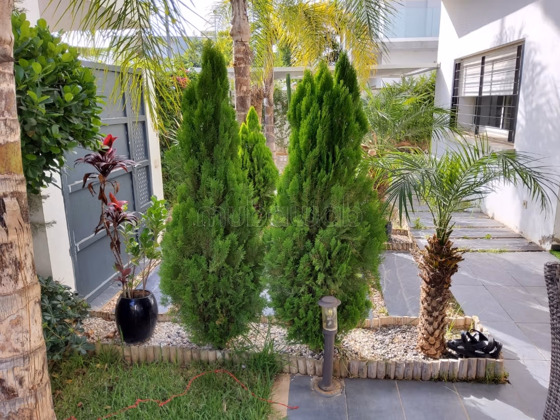 Bella villa arredata in affitto a EL MENZEH