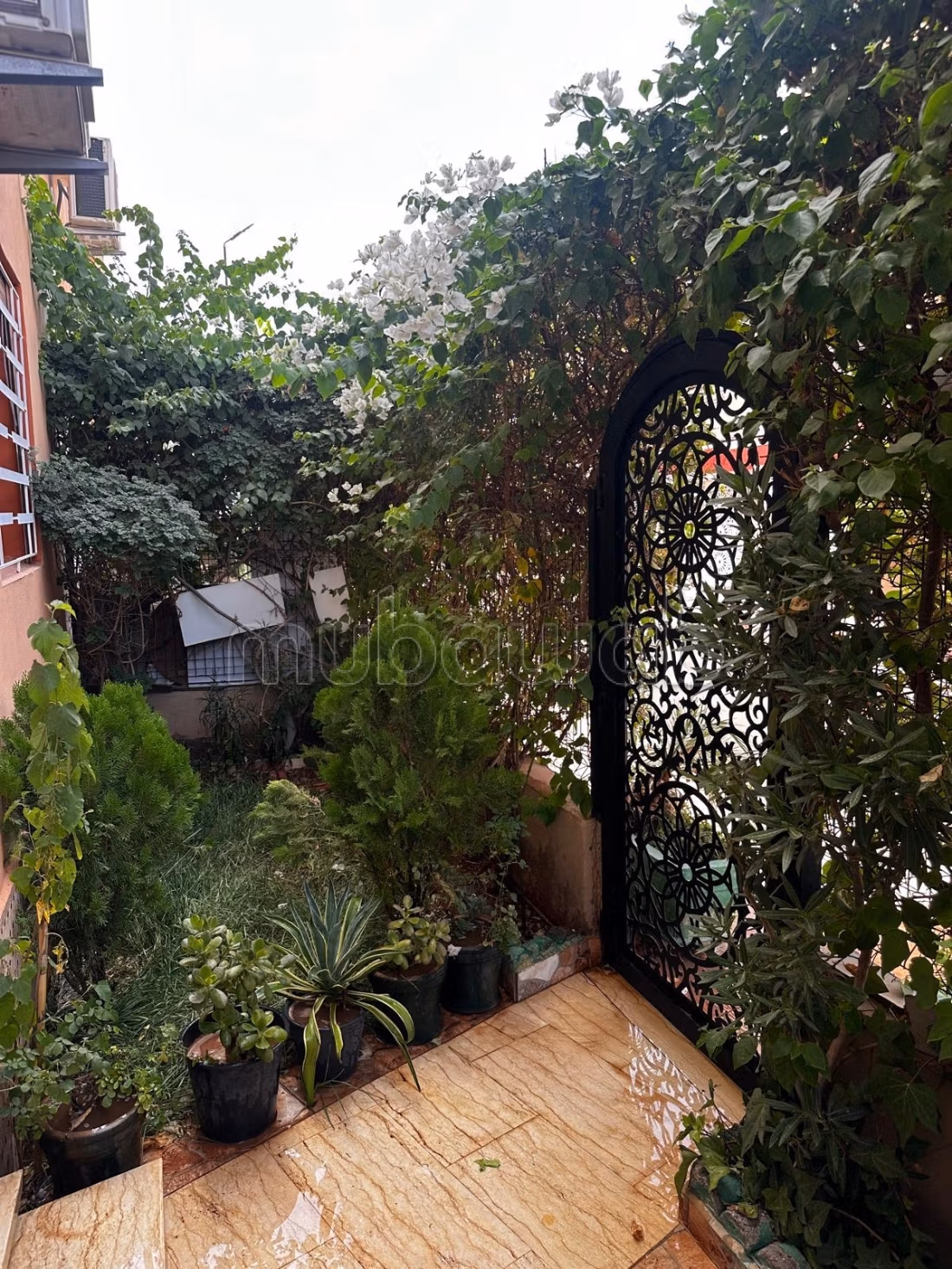 Rez de jardin meuble cherifia — 5
