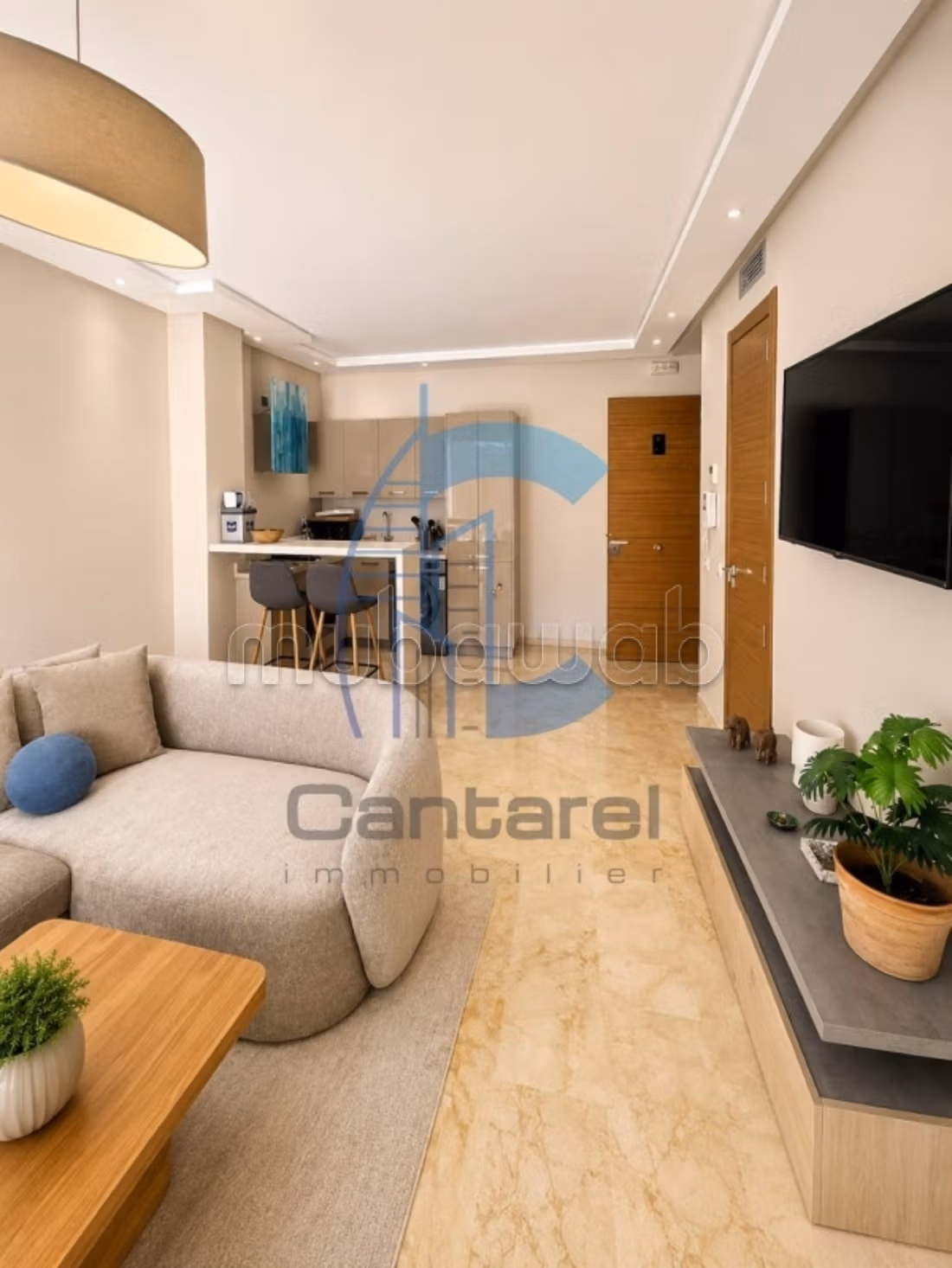 CIL – Magnifique appartement meublé avec terrasse — 3