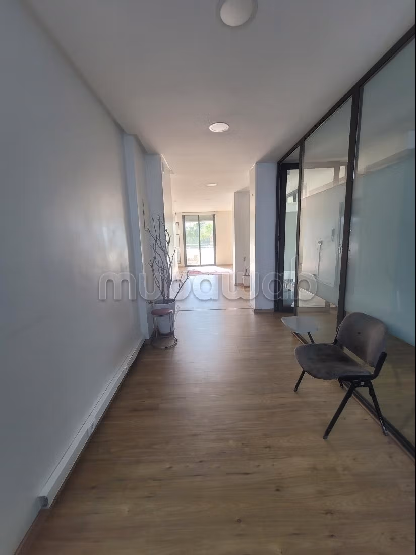 Apt 80 m² rénové, 2ème etg— Vue panoramic parc