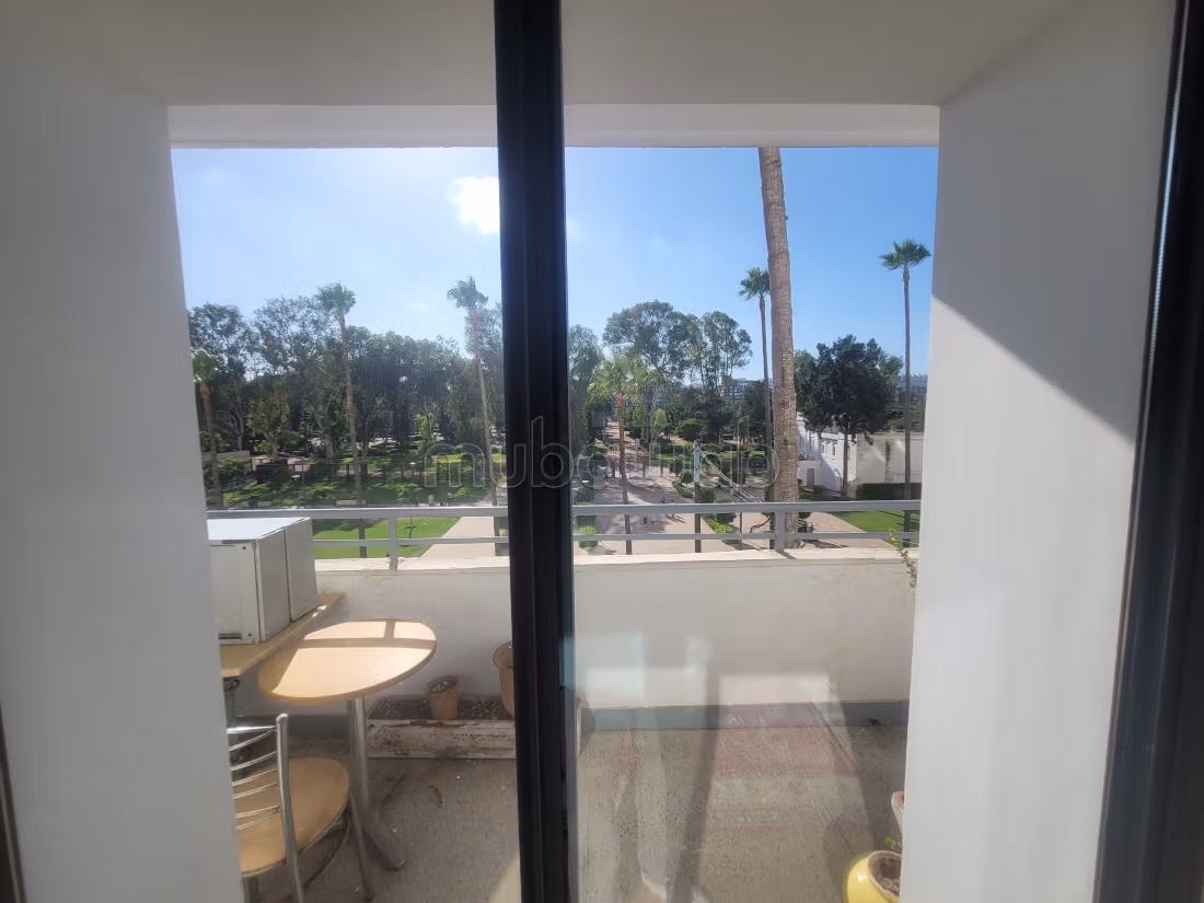 Apt 80 m² rénové, 2ème etg— Vue panoramic parc