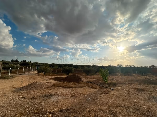 Attractive price agricultural land