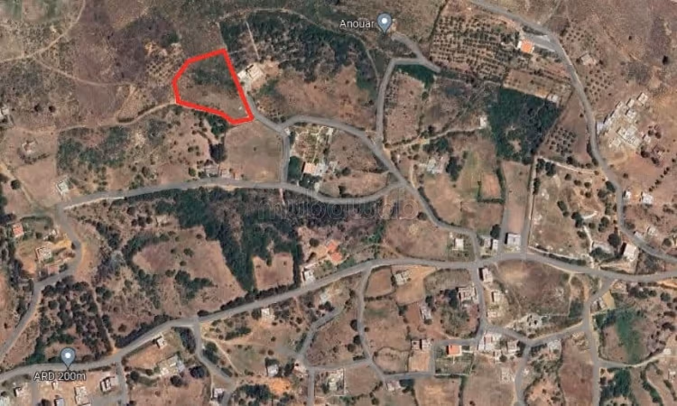 Terrain titré de 5000 m2 à Ain bellouth Tanger