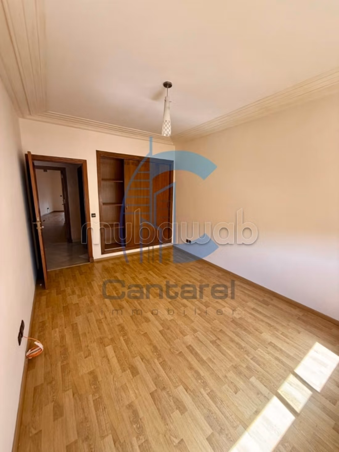 Location appartement racine