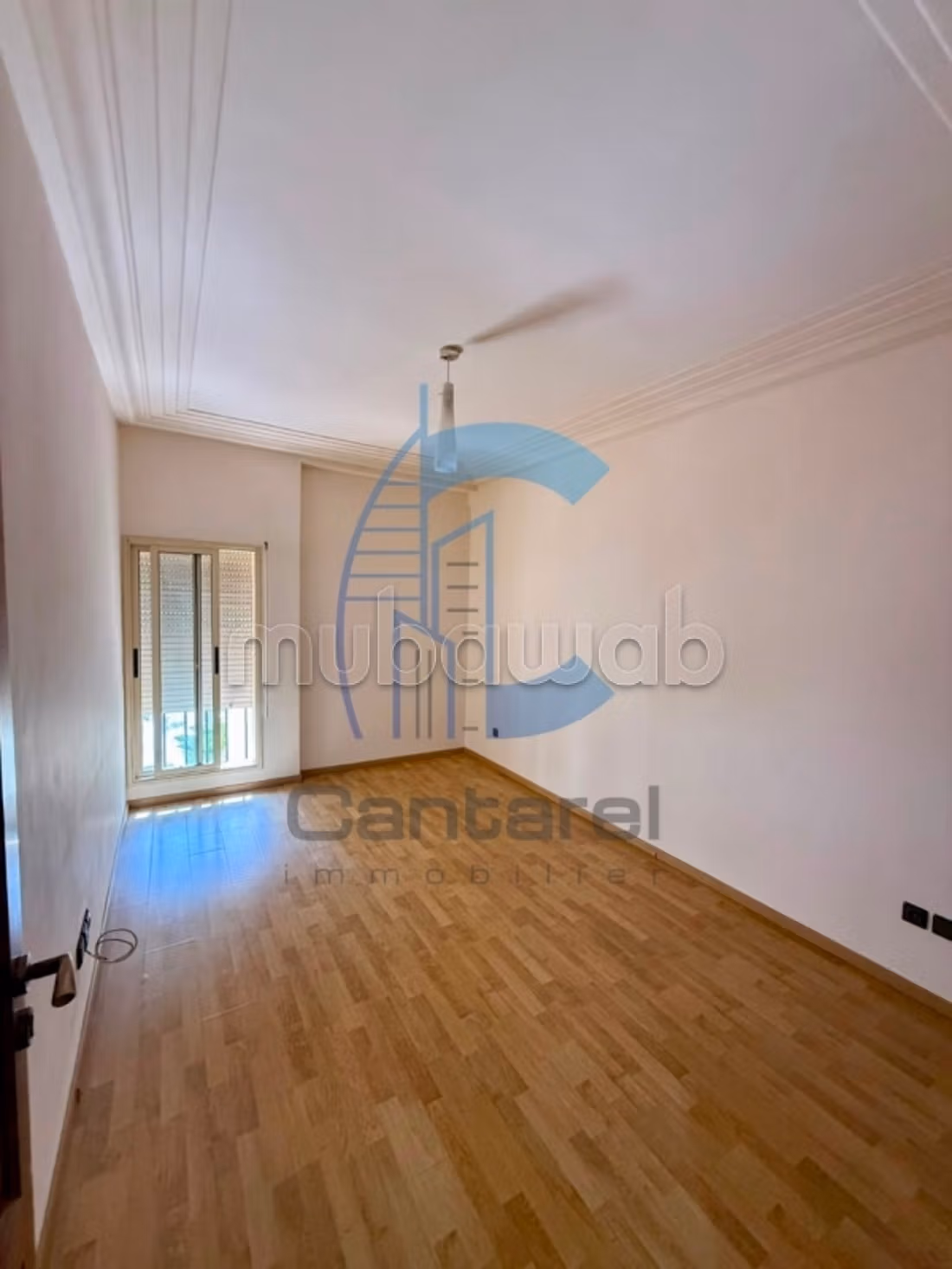 Location appartement racine