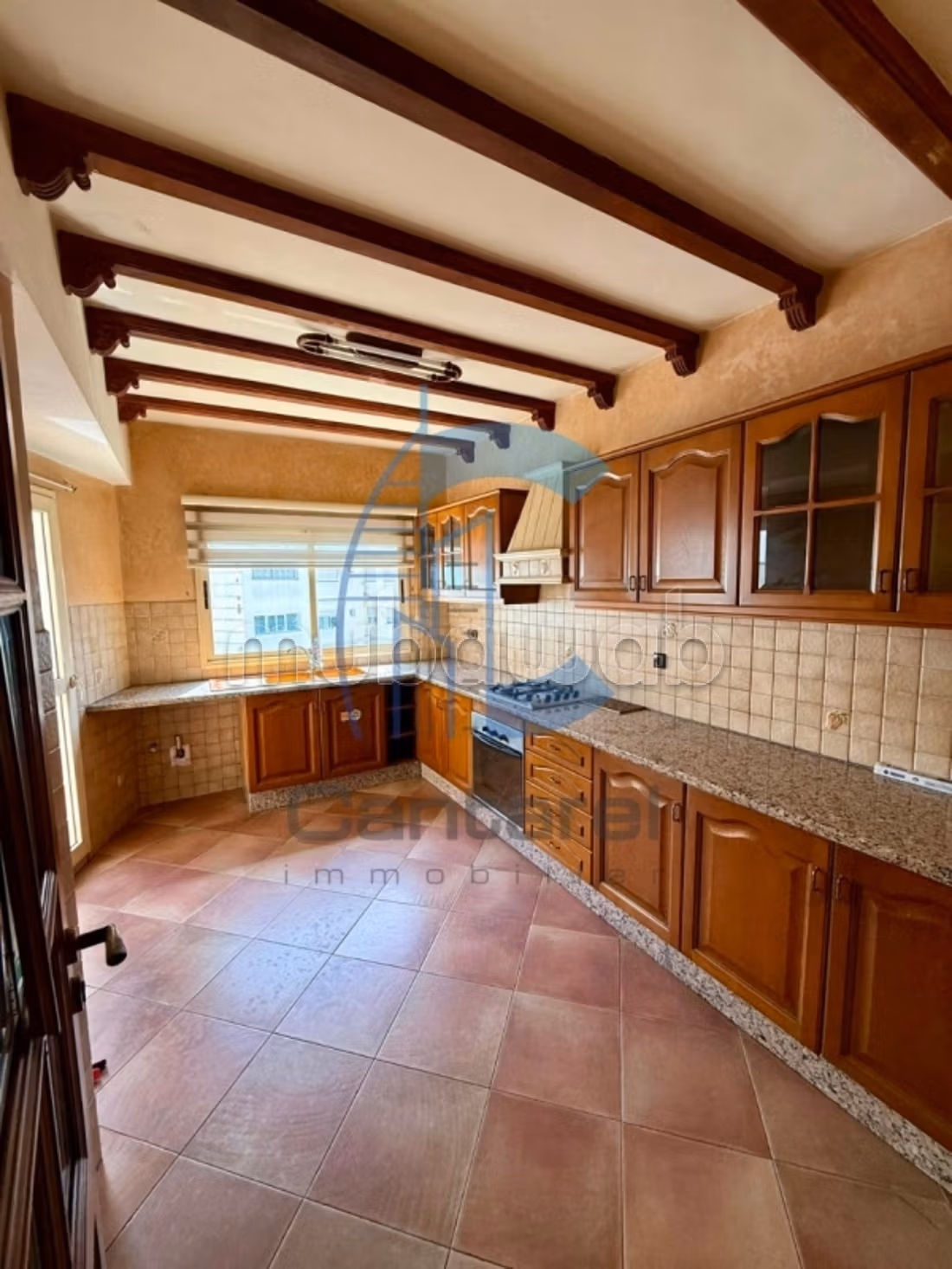 Location appartement racine