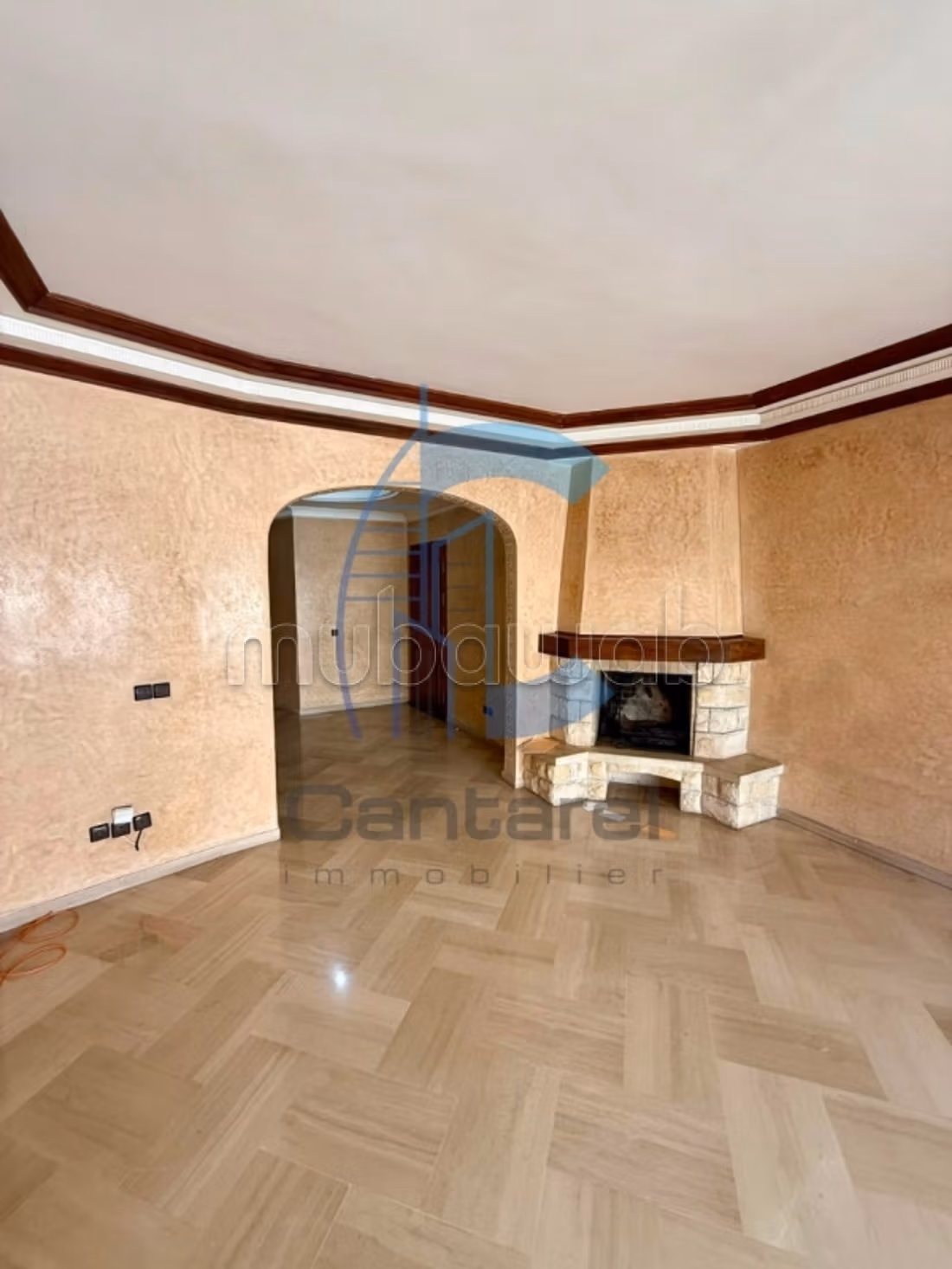 Location appartement racine