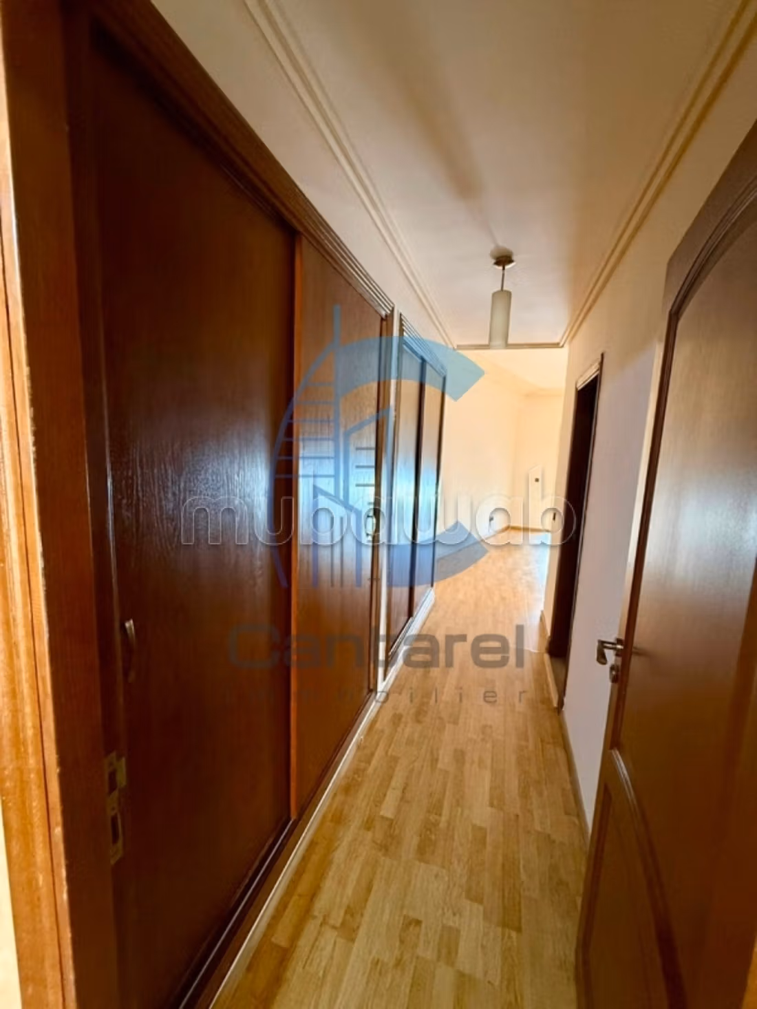 Location appartement racine