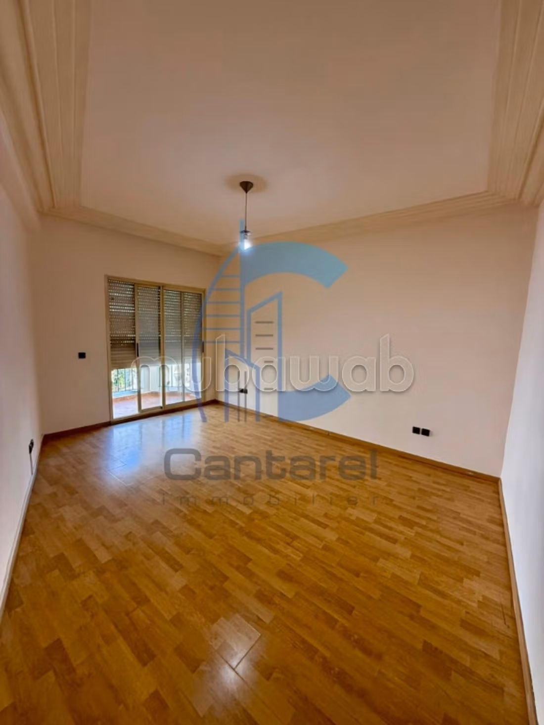 Location appartement racine