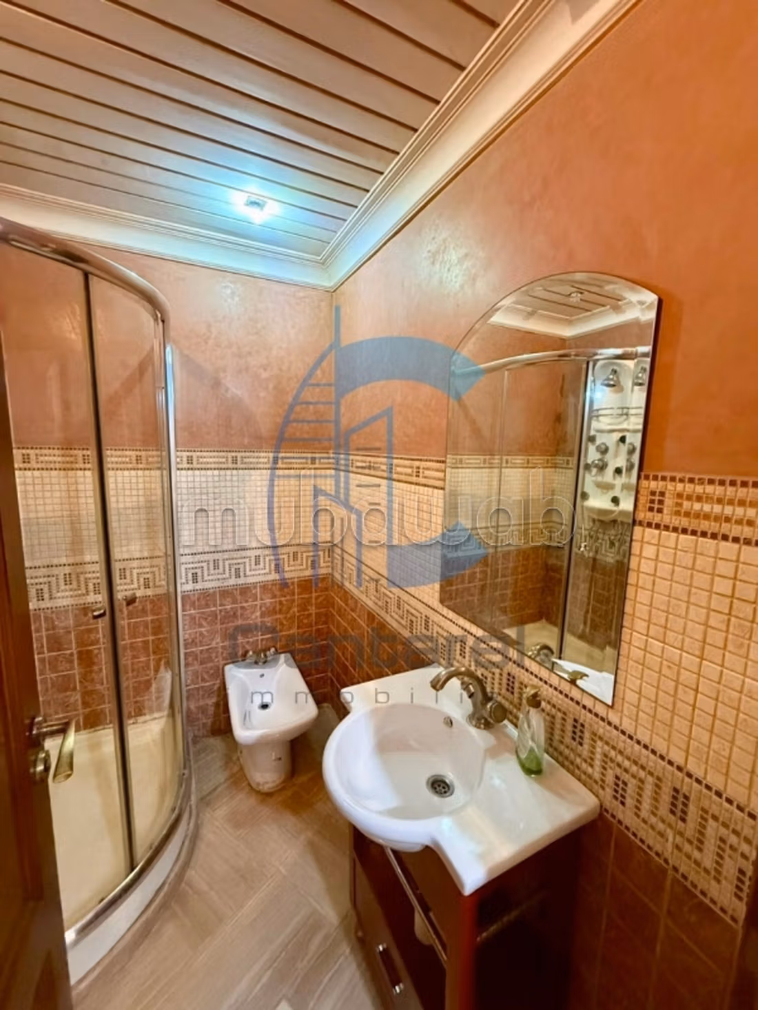 Location appartement racine