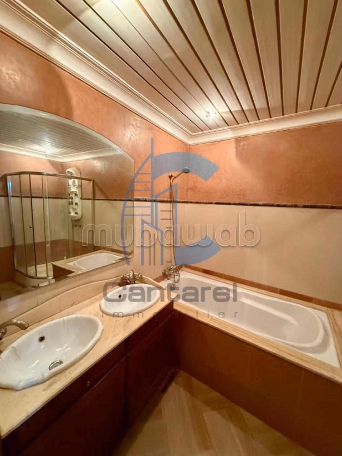 Location appartement racine