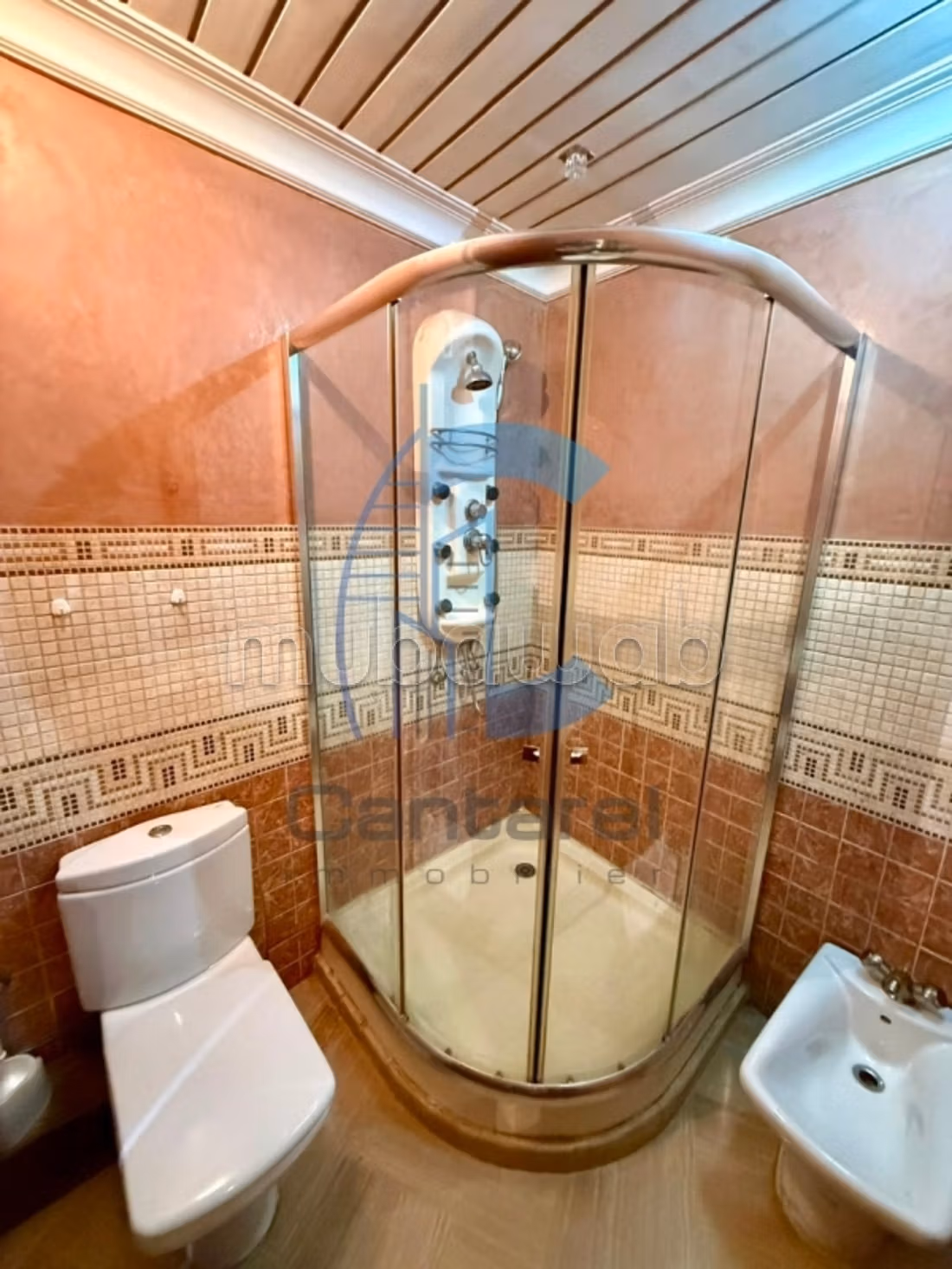 Location appartement racine