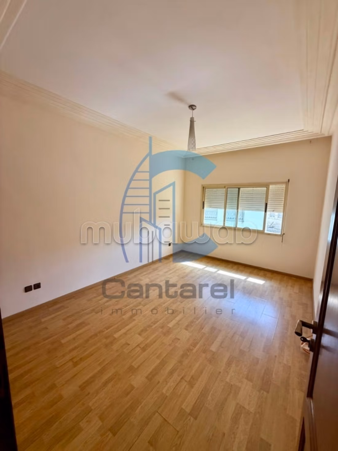 Location appartement racine