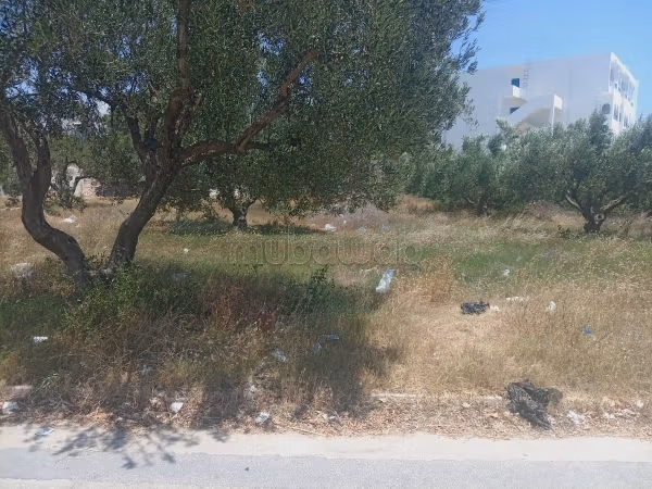 Terrain Hammamet