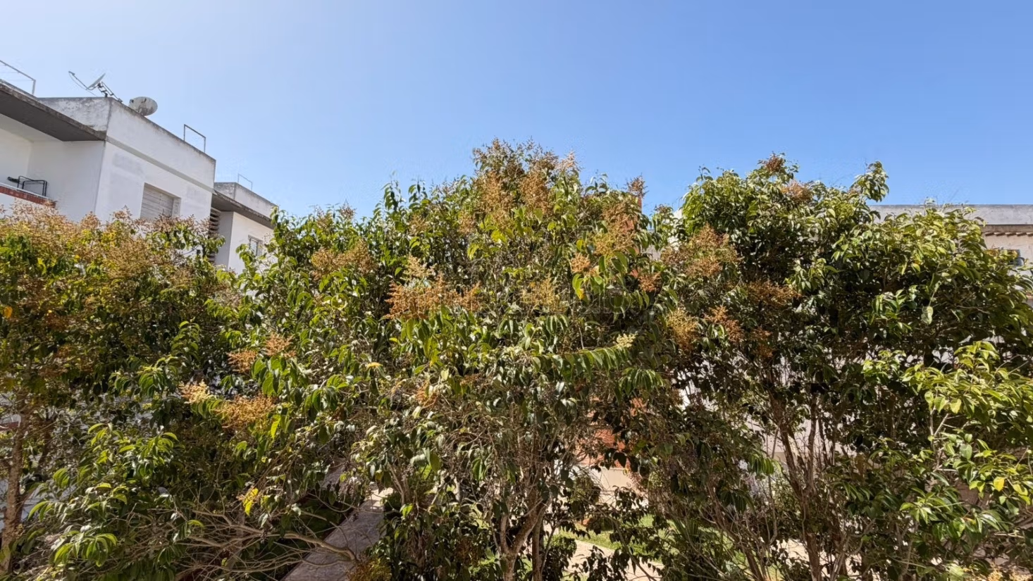 Appartement 150 m² à Riyad — 28