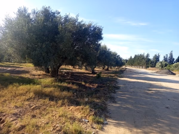 Land for sale