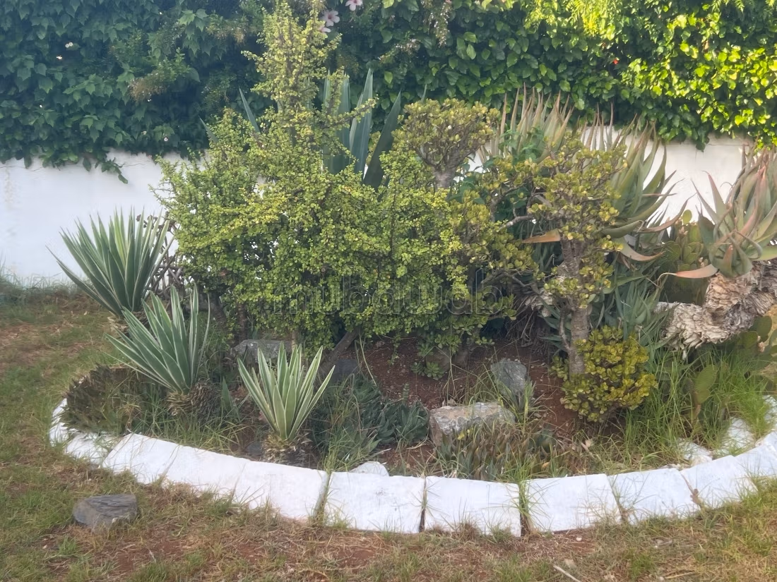 Splendida villa in vendita a Harhoura. Superficie 3333 m². Bella terrazza e giardino