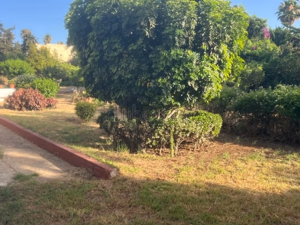 Splendid villa for sale in Harhoura. Area 3333 m². Beautiful terrace and garden