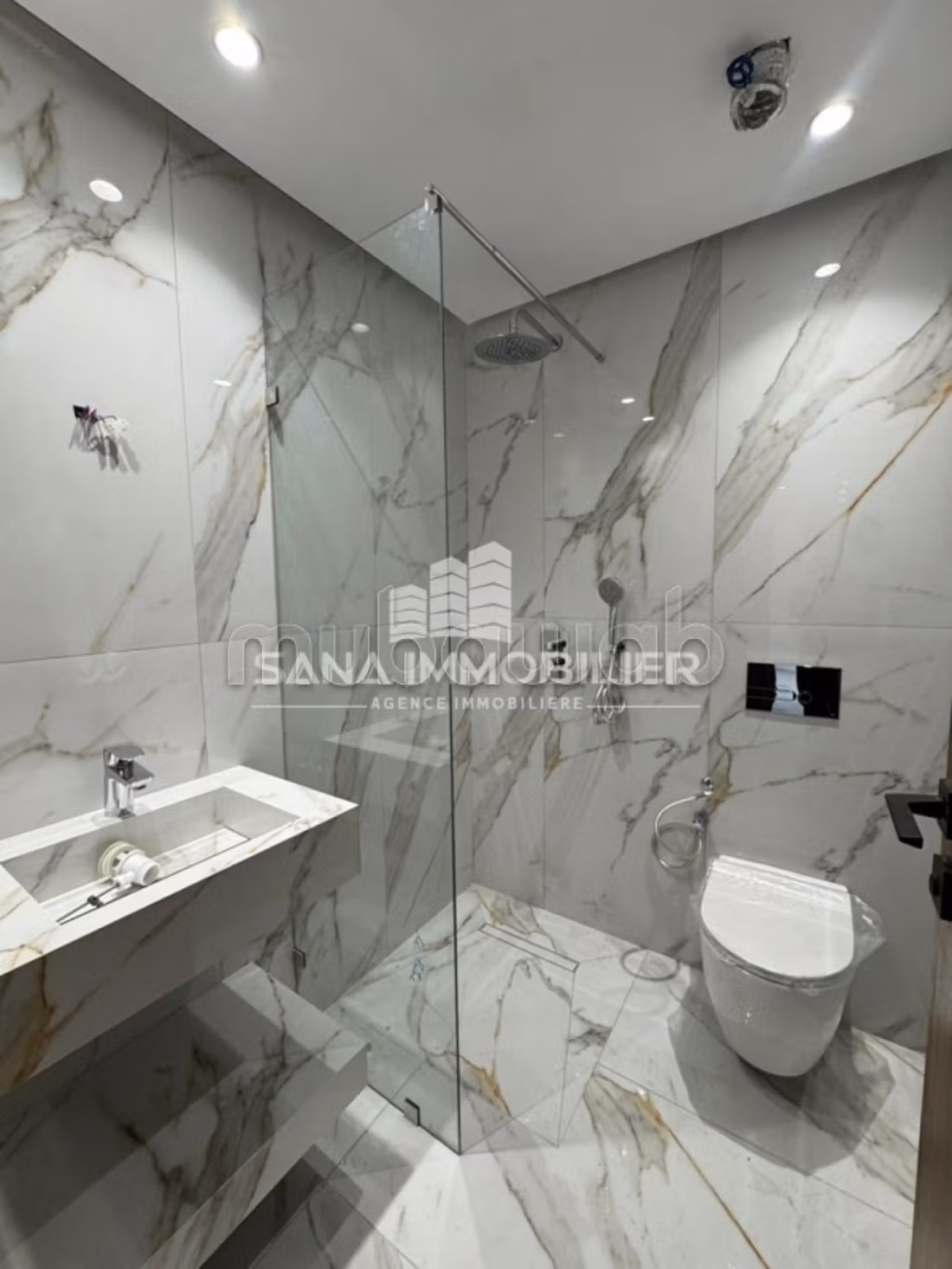 A vendre appartement s1