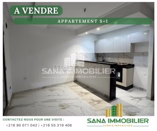 A vendre appartement s1