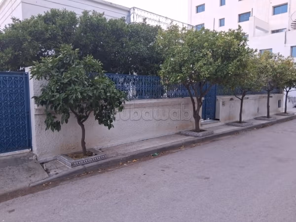 Beautiful house in Nabeul
