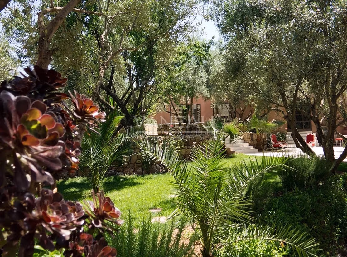 Superb Ecolodge/Gastenhuis in het Hart van het Hoge Atlas