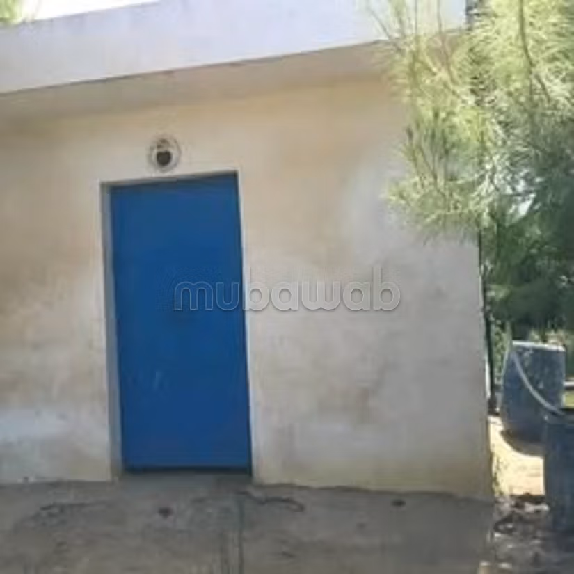 A vendre 15 hectare a taklsa nabeul planté