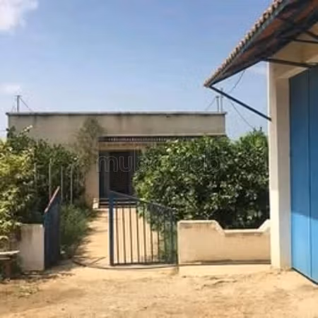 A vendre 15 hectare a taklsa nabeul planté