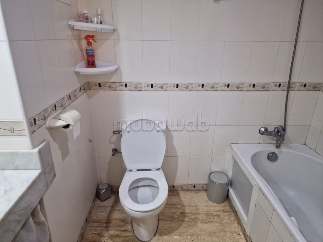 Spacious apartment wifak