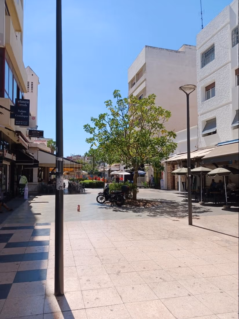 Appartamento arredato con 3 camere in affitto condiviso con terrazza di 45m²