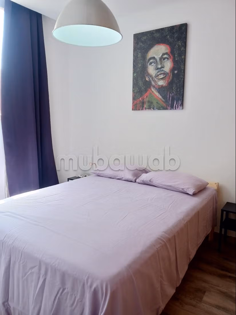 Appartamento arredato con 3 camere in affitto condiviso con terrazza di 45m²