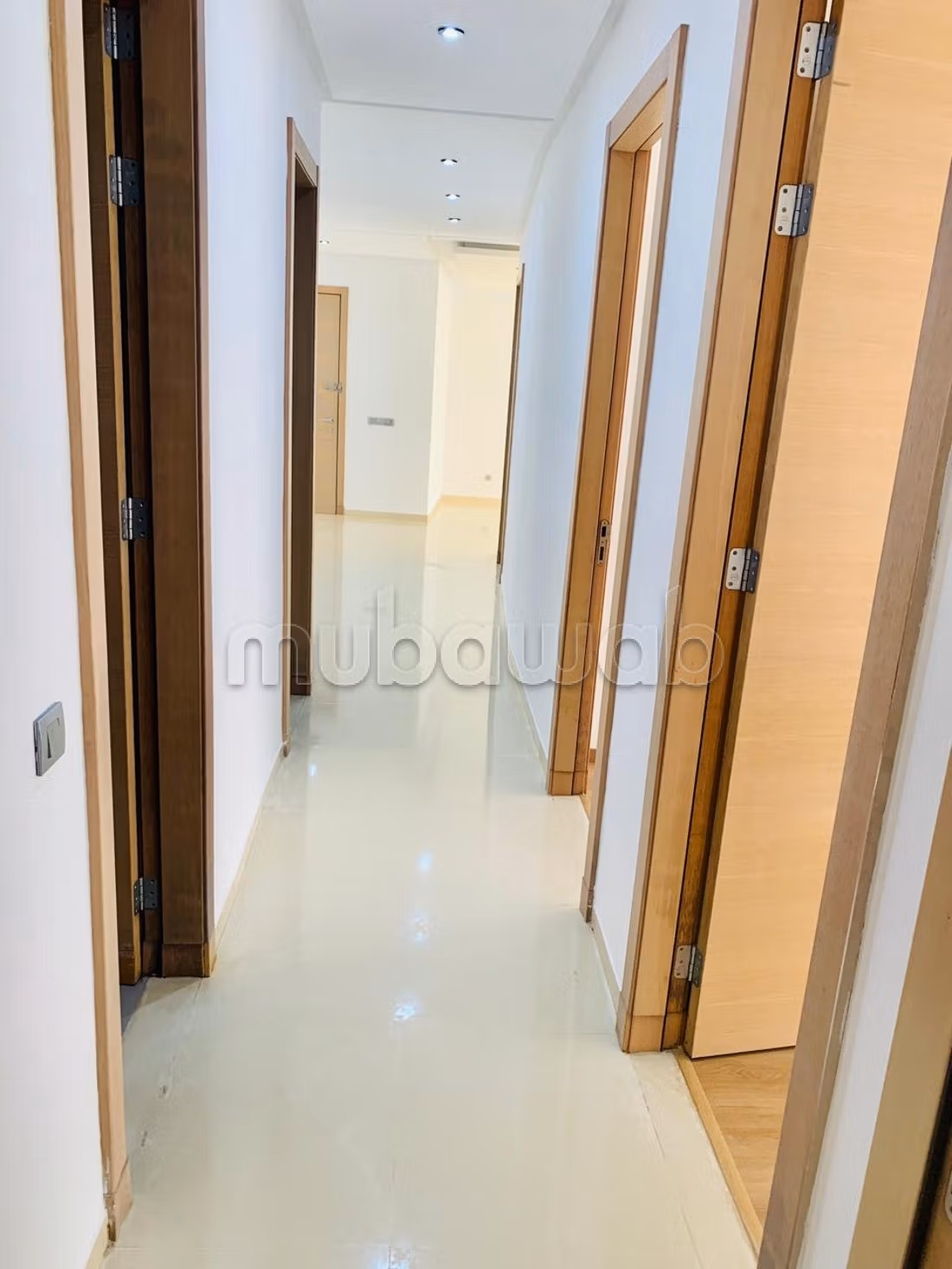 Magnificent empty apartment