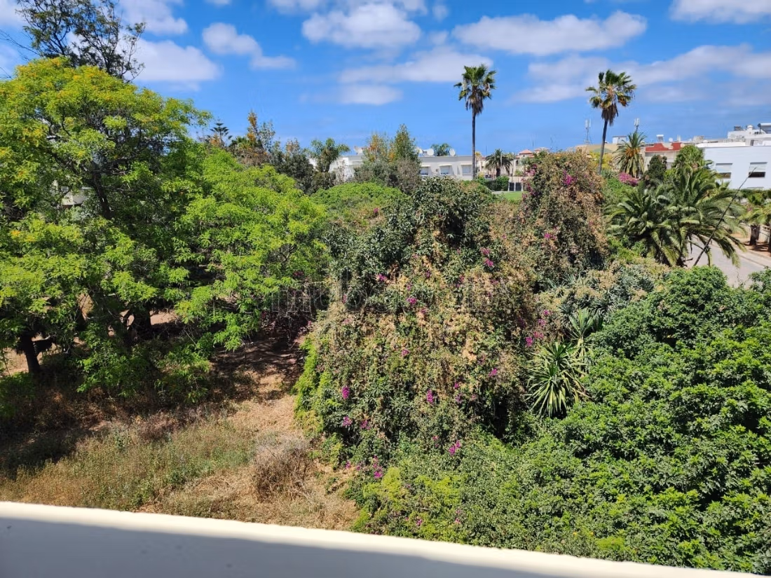 Appartement 211 m² à Californie — 19