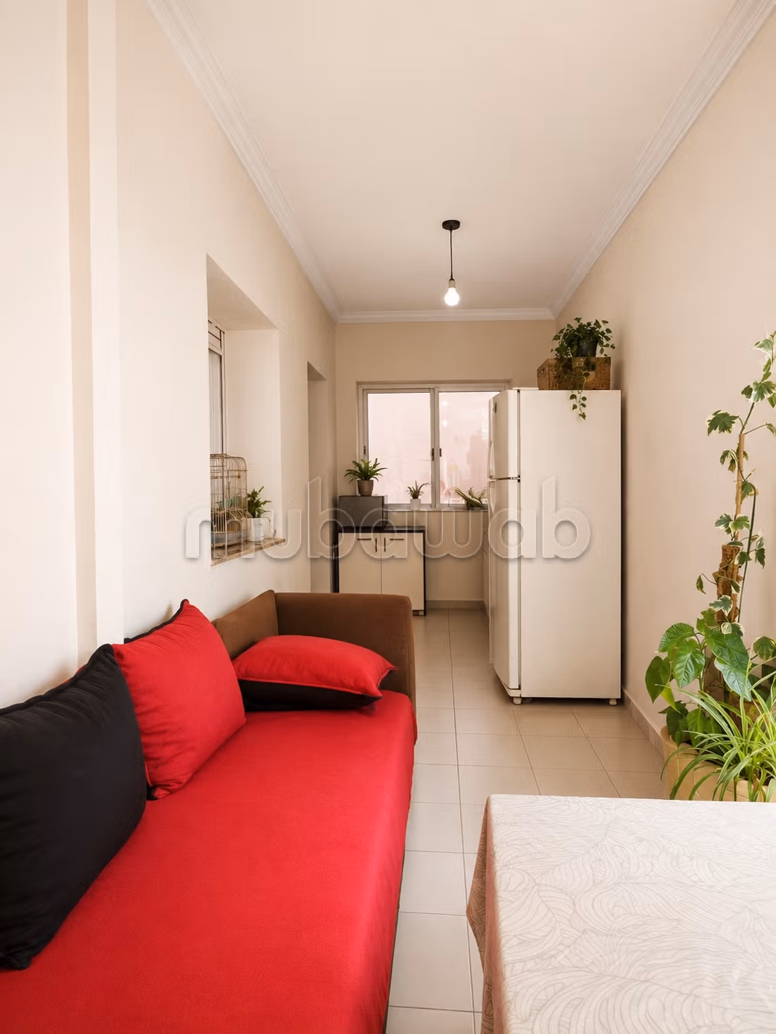 Appartement en location à Samlalia. 
2 grandes pièces. 
Avec ascenseur et terrasse — 3