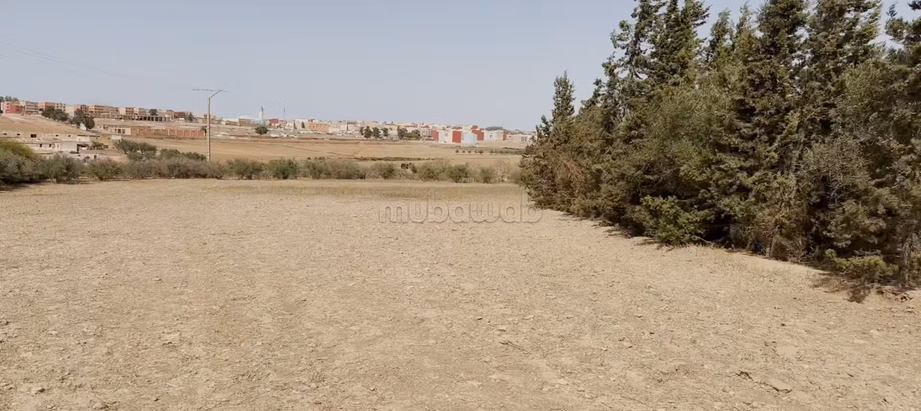Ferme à la vente à Ain Dorbane.
Surface totale 20000 m²