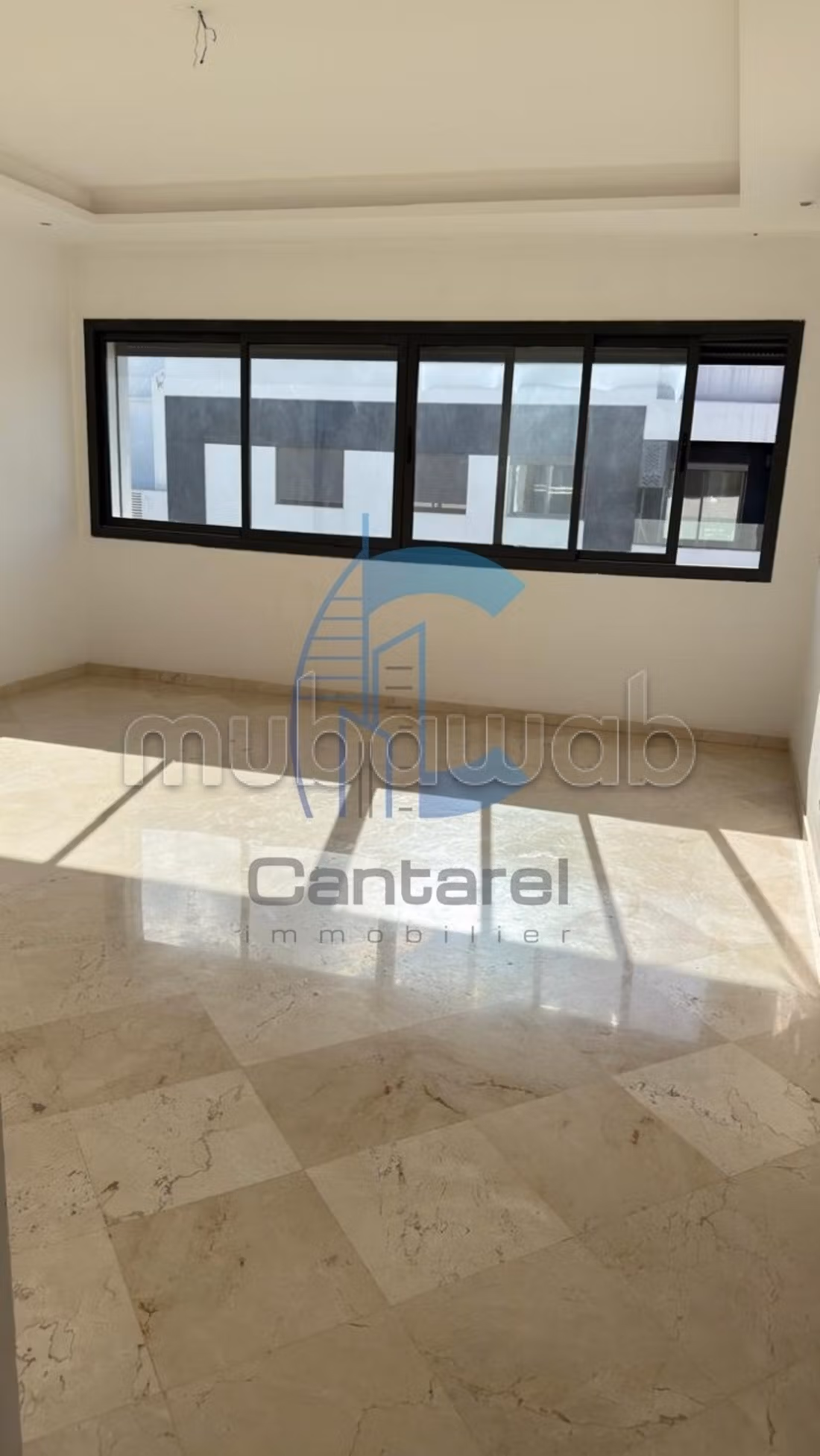 Location appartement palmier