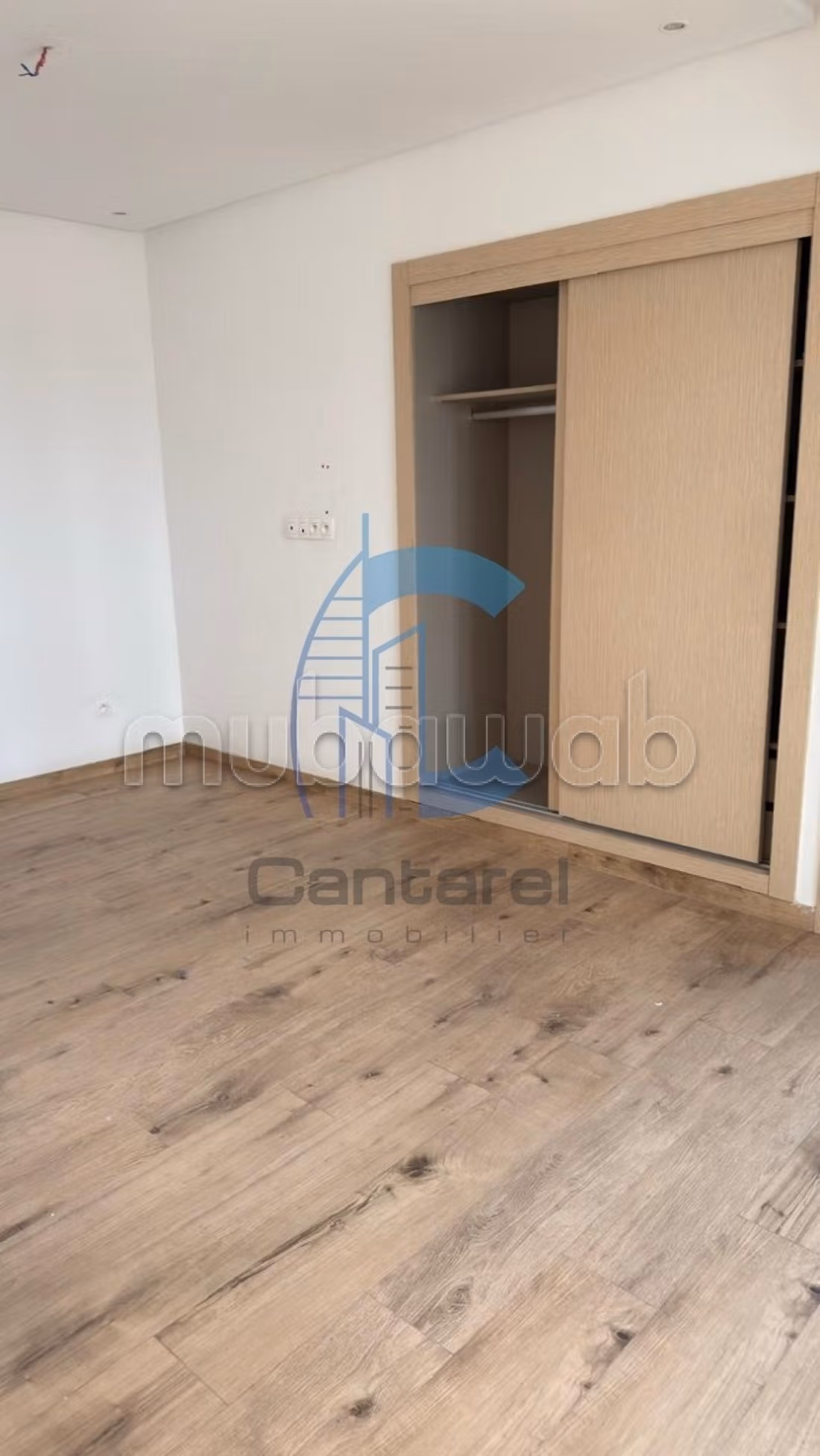 Location appartement palmier