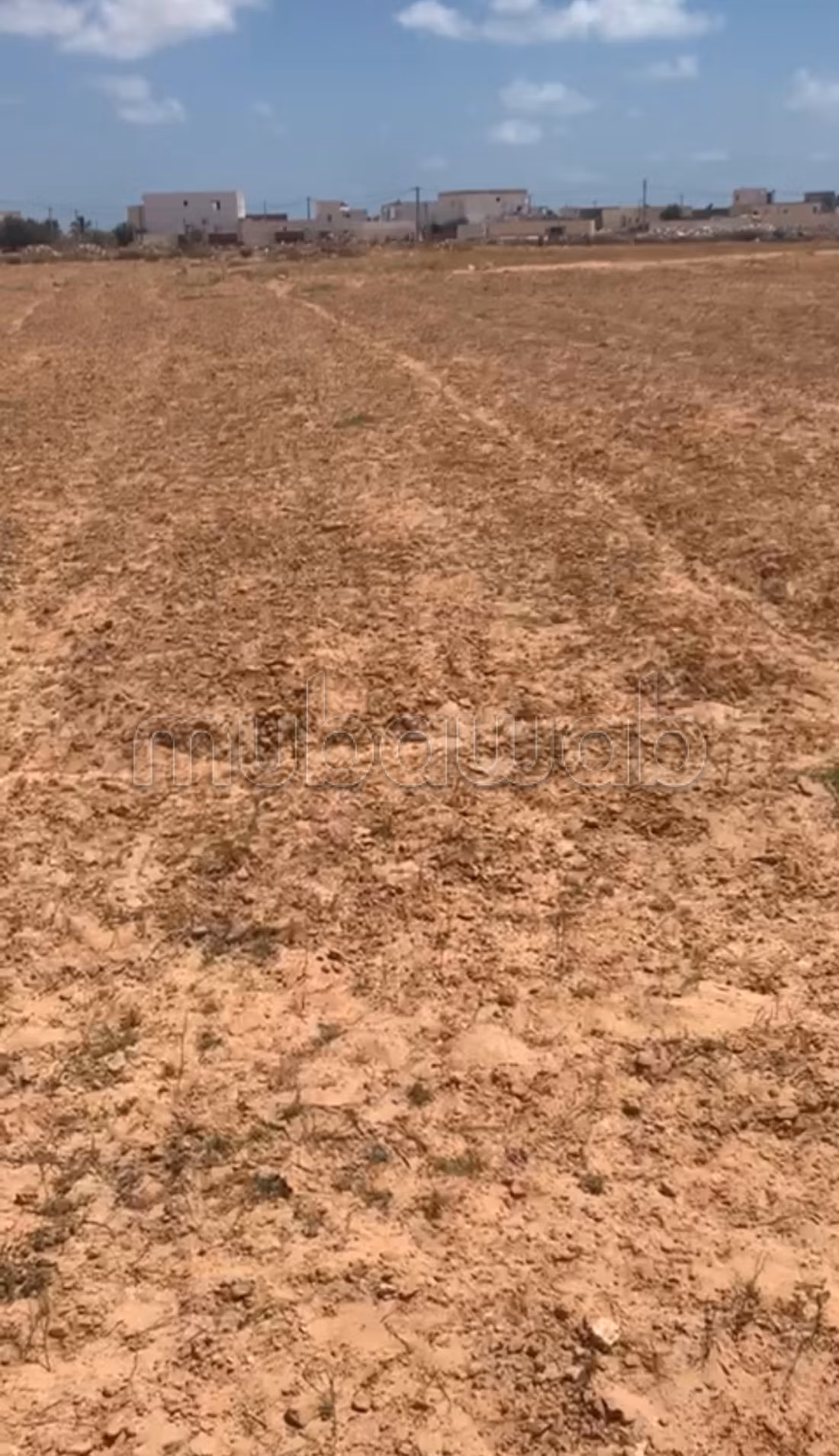 À vendre Terrain de 4000 m2 à El Hsiane zarzis