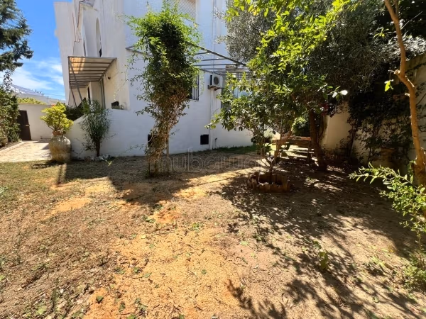 In vendita: S3 al piano terra con giardino di 210m²